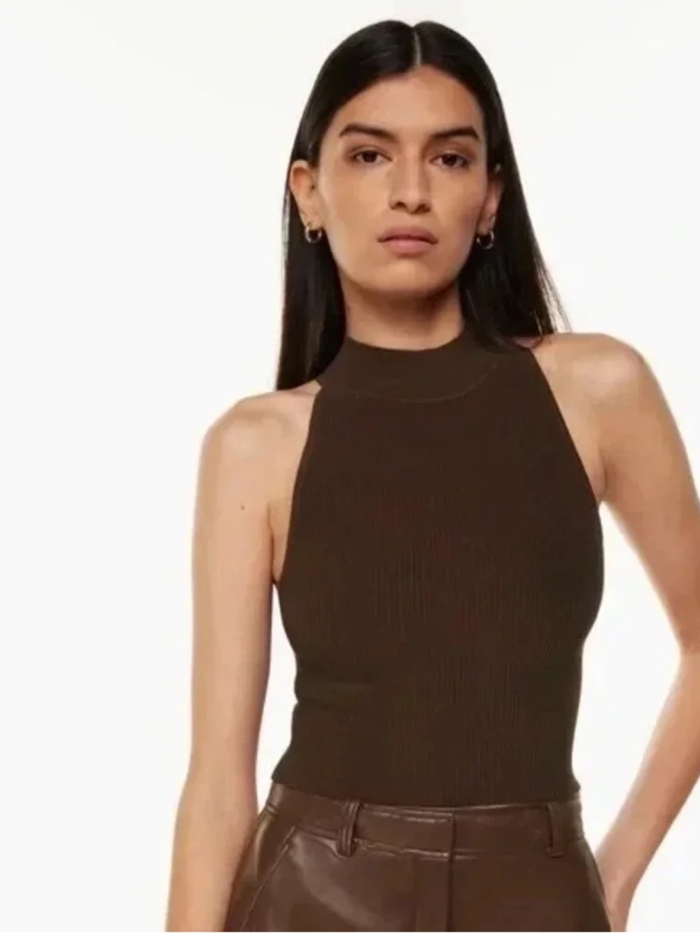 Aritzia Babaton Brown Ribbed High-Neck Top
